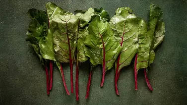 Swiss chard growing tips: A colorful, nutritious green