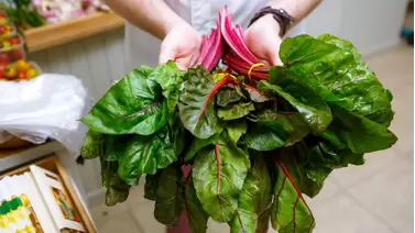 How to grow chard: A colorful, nutritious garden staple