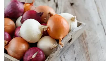 How to grow onions: Tips for fresh bulbs and greens