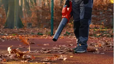 Best leaf vacuums for a spotless yard