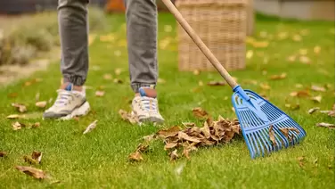 Achieve a perfect lawn with the best lawn leveling rakes Achieve a perfect lawn with the best lawn leveling rakes
