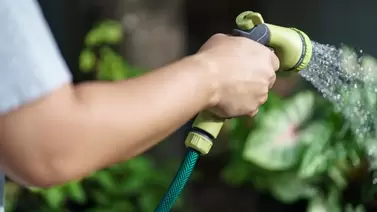 Best garden hoses for every yard: Durable & tangle-free picks