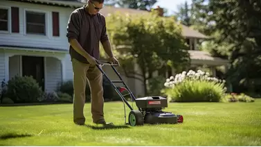 Best lawn dethatchers for a thicker, healthier lawn Best lawn dethatchers for a thicker, healthier lawn