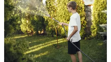 Best time to water grass for a healthier, greener lawn Best time to water grass for a healthier, greener lawn