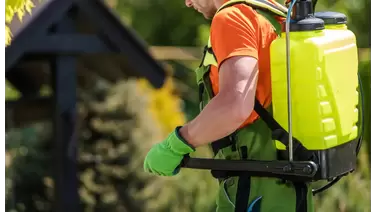 Top pump sprayers for gardening, pest control & more Top pump sprayers for gardening, pest control & more