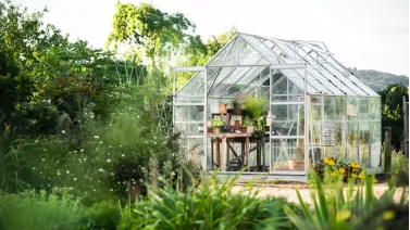 Best mini greenhouses: Grow fresh plants year-round Best mini greenhouses: Grow fresh plants year-round