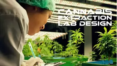 Cannabis Extraction Labs