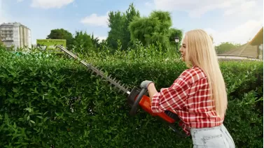 Best pole pruners for high branches: Trim trees with ease and safety Best pole pruners for high branches: Trim trees with ease and safety