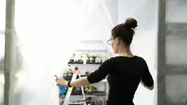 Grow Room Effectiveness Grow Room Effectiveness