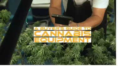 Cannabis Equipment Cover