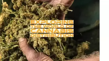 Cannabis Distribution