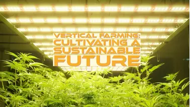 Vertical Farming Vertical Farming