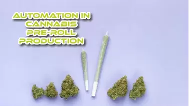 Automation In Cannabis Pre-Roll Production