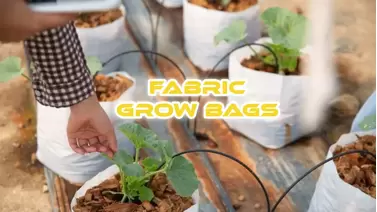 Fabric Grow Bags