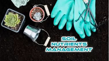 Soil Nutrients Management