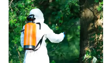 Talstar Insecticide: Comprehensive Guide for Effective Pest Control