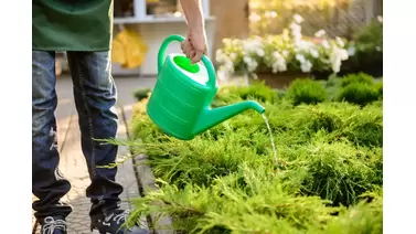 Liquid Lawn Fertilizer