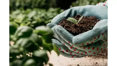 the future of farming