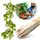 Edrich Lumber Tomato - Reforestation Stakes Pack Of 25