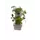Tabletop Garden Tower