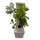 Tabletop Garden Tower