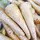 Parsnips, Harris Model - 1lb
