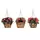 Deer Park Blk Hanging Basket Variety Pk 2 Floral Daisy Ribbon Arch
