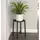 Panacea Folding 20" Single Folding Plant Stand with Metal Tray Matte Black