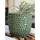 Palm Spring 6.5" Honey Comb Planter Emr