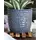 Palm Spring 5.5" Honey Comb Planter Dnm