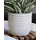 Palm Spring 7.5" Honey Comb Planter Ssl