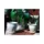 Verandah Butter Cup Size A Wsp