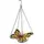 Panacea Butterfly Fruit Station Platform Feeder w/ Chain