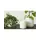 Palm Spring 5"x4.5" Cylinder with As Mwh