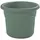 Bloem 10" Posy Planter Basil