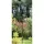 Brome Bird Care 4.6"x4.1"x41.3" SquirrelBuster Versa Pole System