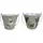 VCS 10" Butterfly & Dragonfly Pail Planters