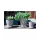 Verandah Lilac Size A Wsp