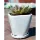 Verandah Oahu Size B Wsp
