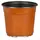 DLN 17.00 CM EURO POT COEX TALL TC 294/CS 32CS/PL