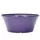 Gardener Select 12" Tulip Bowl Purple Planter 15/CS