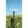 Rain Drip Half Circle Adj Spray 7GPH