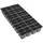 DLN 1204 TRUE INSERT BLK 100/CS 36CS/PL