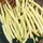 Beans, Pencil Pod Black Wax - 1/2lb