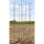 Midwest Wire Works 58" Heavy Duty Square Cage