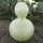 Gourds, Birdhouse - 1/2lb