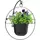 Panacea 17" Modern Farmhouse Round Ring with 9" Hanging Planter Matte Black