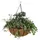 WSP 14" Forge Hanging Basket With Coco Liner