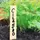 Gardener's Blue Ribbon 24pk 6" Bamboo Plant Labels
