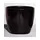 Palm Spring 7.5" Pc Lily Cache GBK